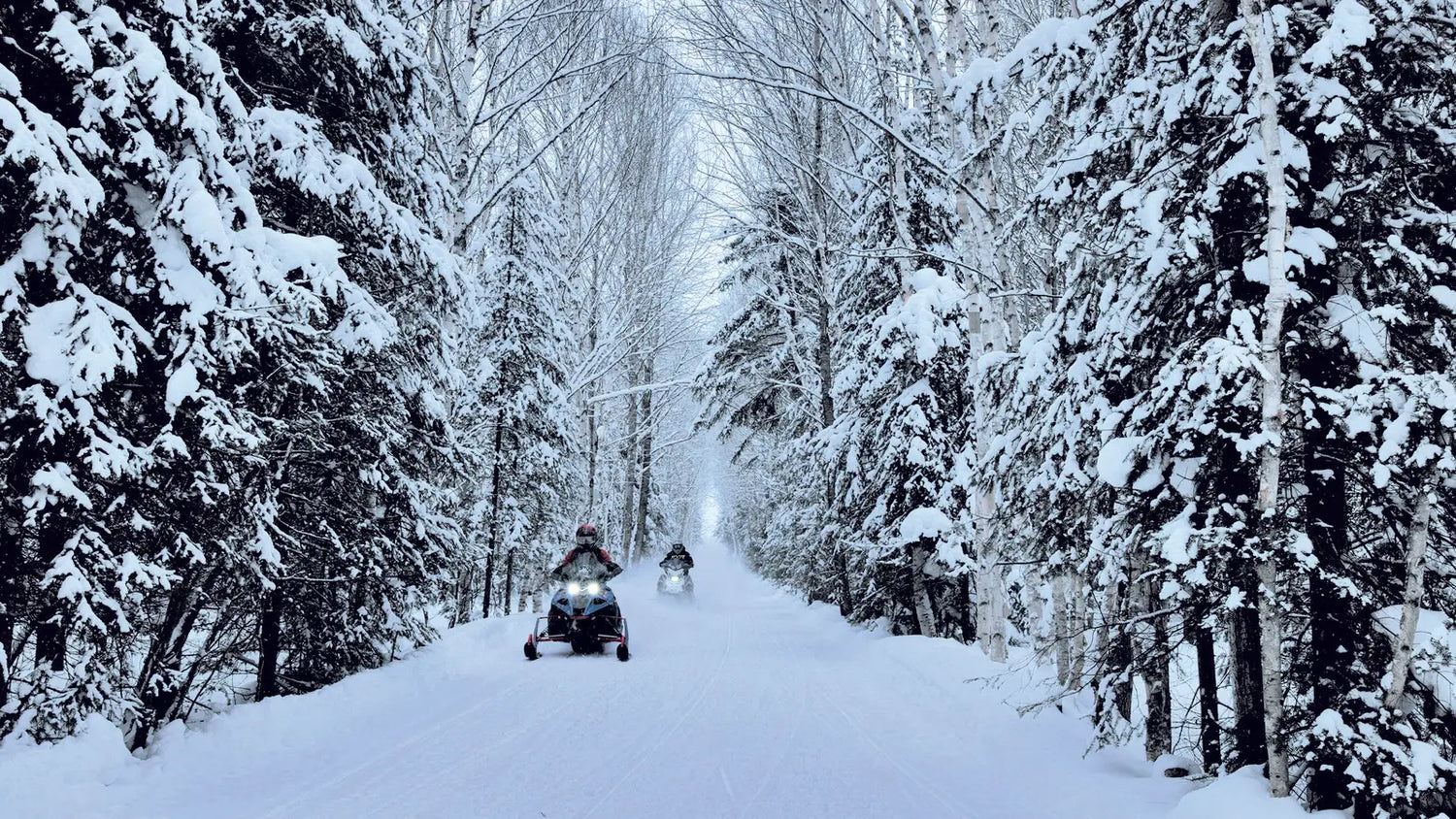 Snowmobile Tours